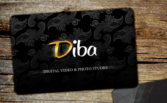 Diba Photography Business Card