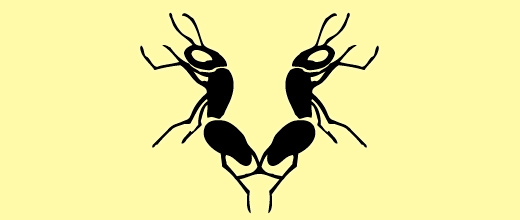 15-lion-simple-ant-logo