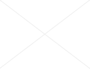 Thiết kế logo giấy vệ sinh cao cấp Rosalia
