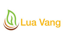 Thiết kế logo thương hiệu hạt giống Lúa Vàng