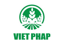 Thiết kế logo Việt Pháp