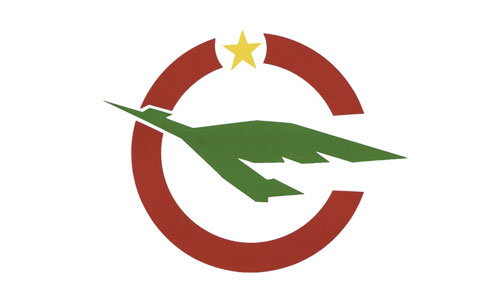Cameroon Air logo