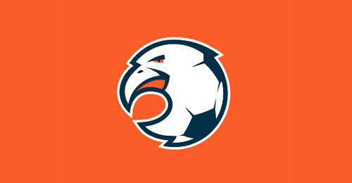 20 mẫu thiết kế logo về chủ đề bóng đá đẹp