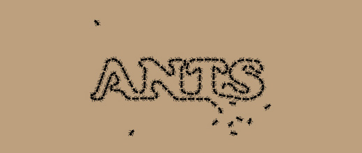 11-typography-ant-logo