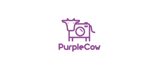 18-cow-photography-camera-purple-logo