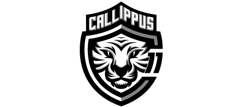 2-soccer-white-tiger-logo
