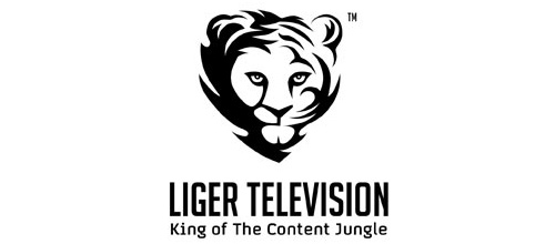 22-simple-black-white-tiger-logo