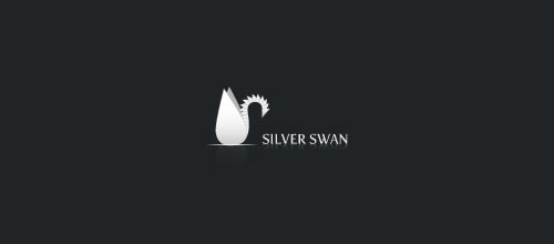 6-six-silverswan