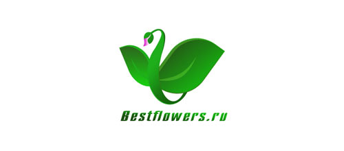 7-seven-Bestflowers