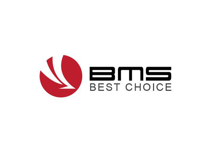 Logo thương hiệu thiết bị y tế BMS