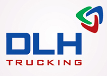 Thiết kế logo Công ty Cổ phần Khoáng sản DLH