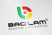 Thiết kế logo và nhận diện thương hiệu Bảo Lâm