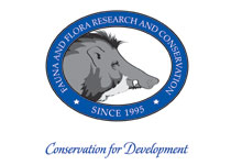 Thiết kế logo viện nghiên cứu ĐTV hoang dã